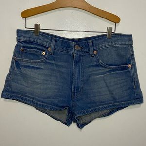 Urban Outfitters BDG Midrise Shorts